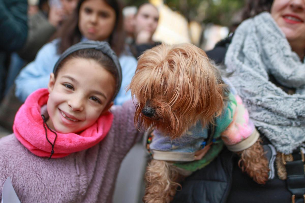 Las mejores imágenes de la bendición de animales de San Antón en Amoradí 2026 están aquí