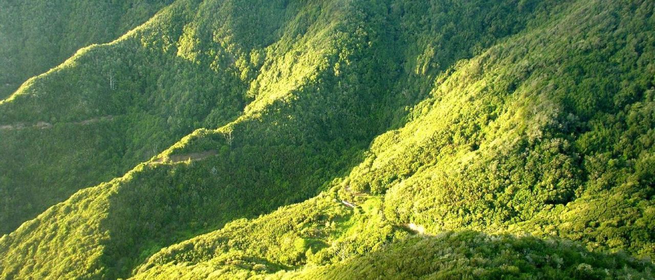 Panorámica de un punto del Parque Nacional de Garajonay.