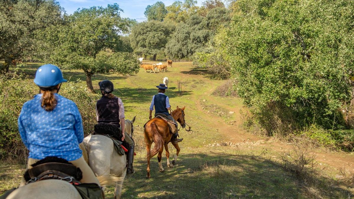 Todo lo que debes saber para recorrer la Sierra Norte de Sevilla