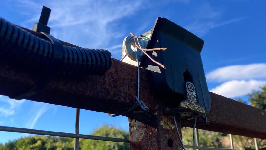 La jaula para capturar jabalís que ha quedado destrozada en Oliva.