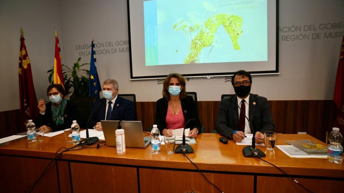La ministra Teresa Ribera, en la reunión con los representantes de diversos sectores