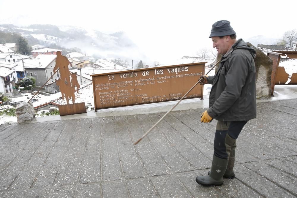 La nieve regresa a Asturias en plena cuarentena