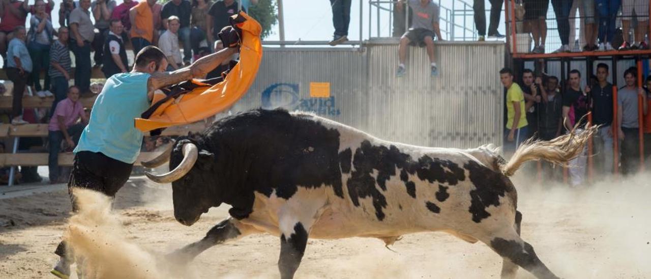 Nace una nueva peña taurina en Massamagrell