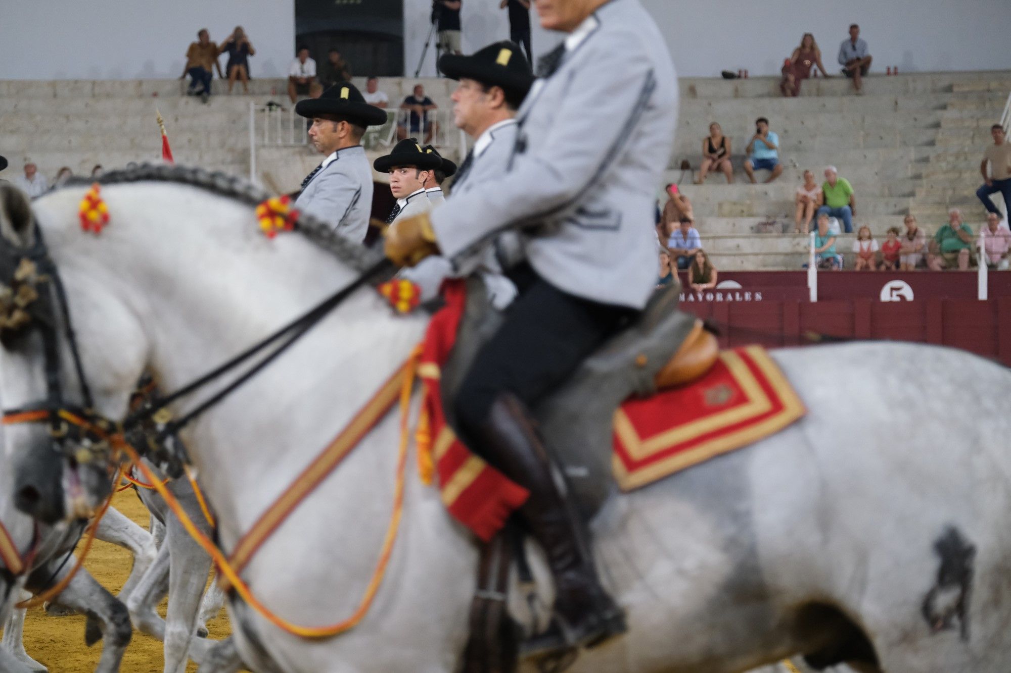 Los caballos andaluces bailan sobre el albero de La Malagueta