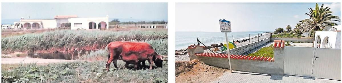Urbanización La Torre-Camí Cabres a principios de la década de los 70 y en la actualidad, con el mar prácticamente llegando a las viviendas.