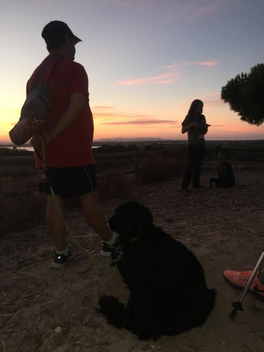 Ruta nocturna por el Parque Natural de Torrevieja