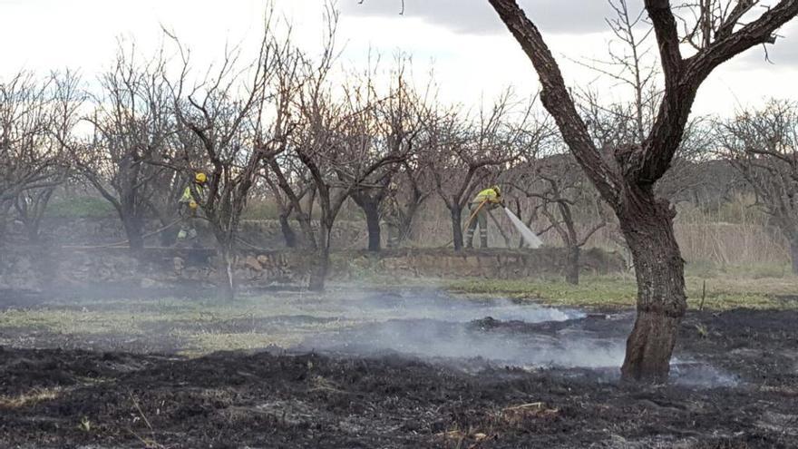 Un incendio calcina mil metros cuadrados de una finca de almendros en Pedreguer