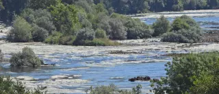 La Xunta urge a los concellos a tomarse “muy en serio” la sequía y restringir el consumo de agua
