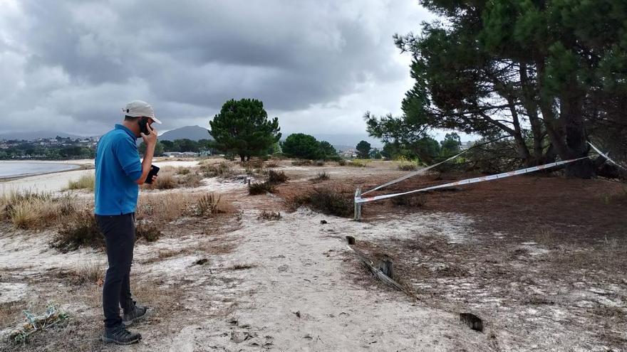 SOS por las dunas de A Ladeira en Baiona: «La gente pone la toalla encima o deja las mascotas sueltas»