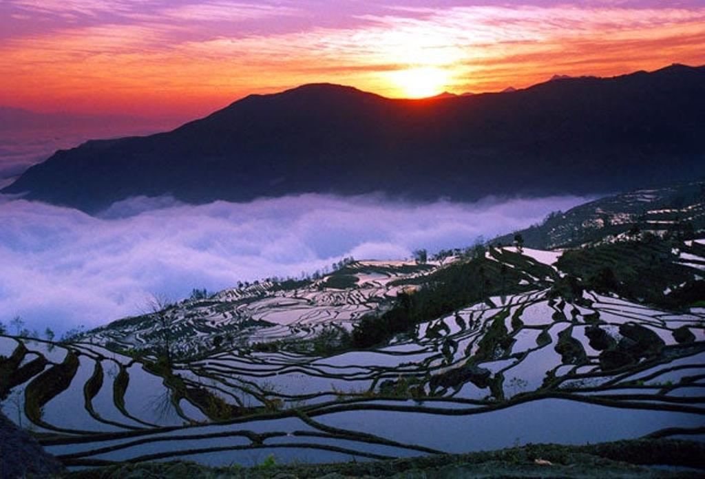 Paisaje cultural de los arrozales en terraza de los Hani de Honghe