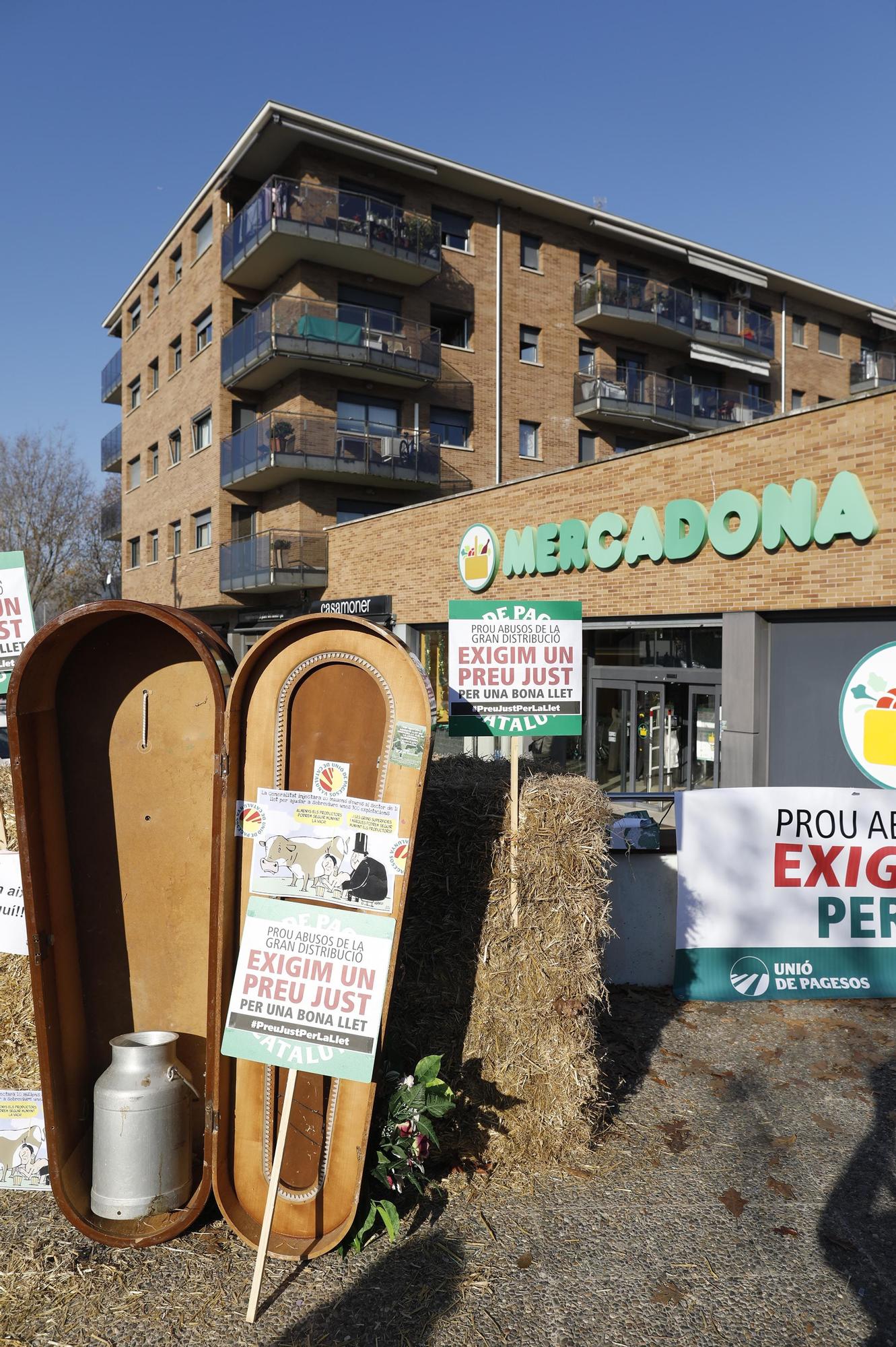 Un centenar de ramaders protesten a Girona per exigir «un preu més just» de la llet