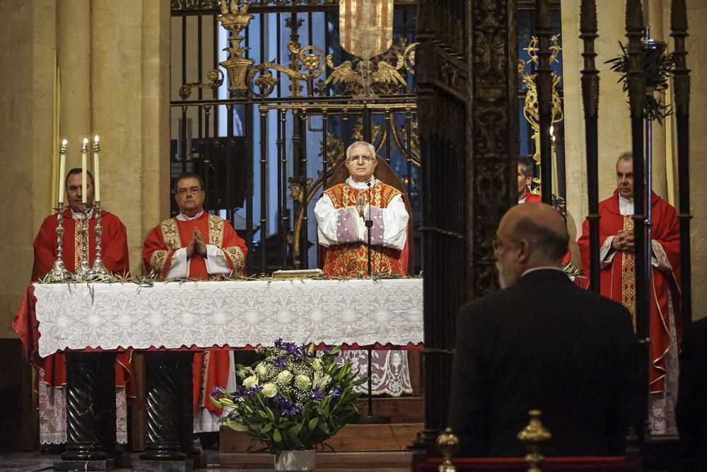 Domingo de Ramos en Orihuela