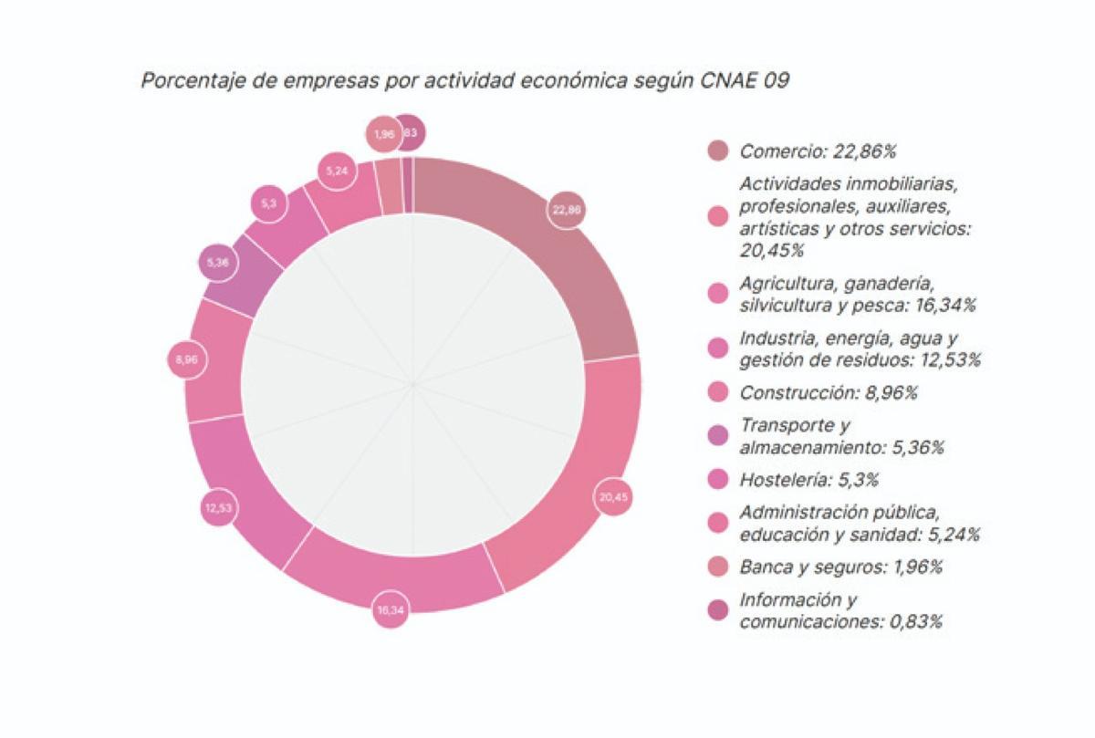 Empresas. Fuente Observatorio Urbano de Lucena a apartir de datos del ECA-SMA (2025)