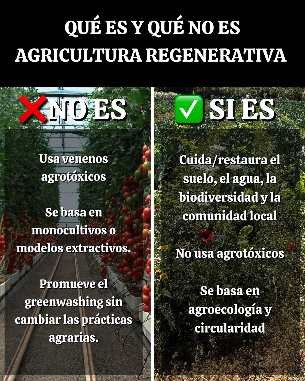 Cartel lanzado por la campaña