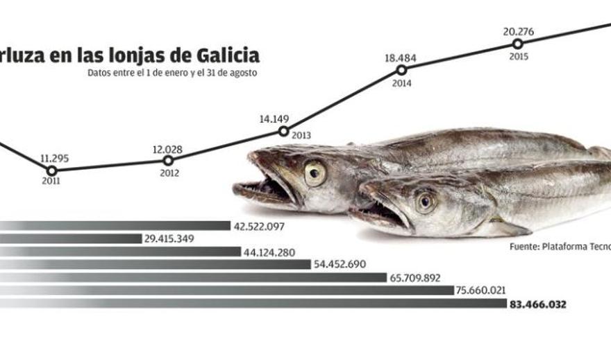 Las lonjas gallegas elevan un 90% las ventas de merluza hasta agosto en un lustro al alza