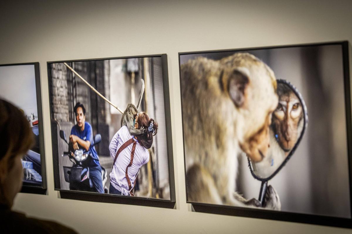 Exposición World Press Photo 2025 en el CCCB