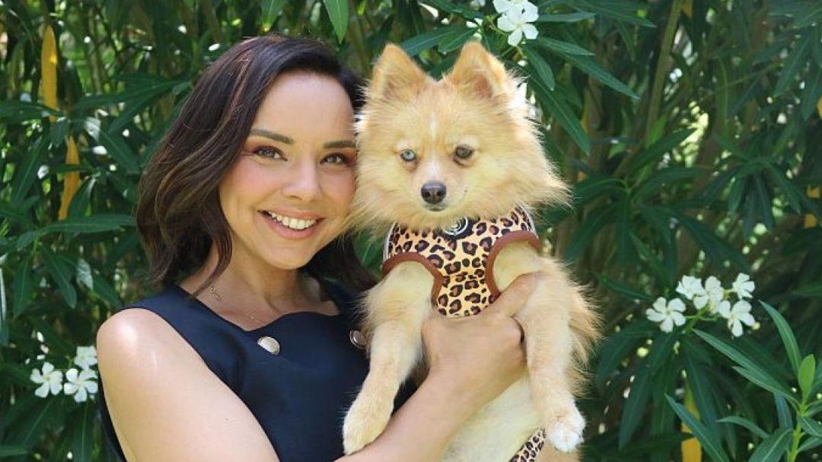 Una mujer asegura que la perra de Chenoa es su mascota desaparecida: ¿puede una prueba de ADN demostrar de quién es un perro?