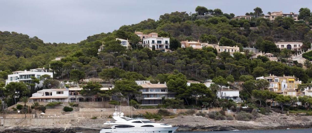 Una sola foto de Flavia Mertehikian abarca el &#039;Pitina&#039; de Florentino Pérez y, en la parte superior derecha de la imagen, los chalés de la discordia de Claudia Schiffer y el agente de Michael Schumacher, enfrentados por la tala de dos pinos estatégicos en Camp de Mar.