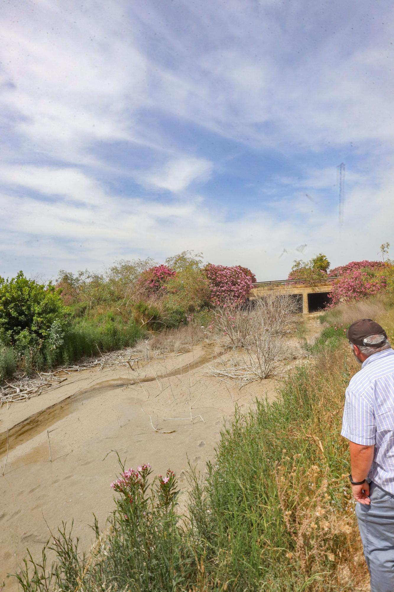 El agua de drenajes agrícolas con fertilizantes del Campo de Salinas desborda las fincas y llega a la laguna de Torrevieja