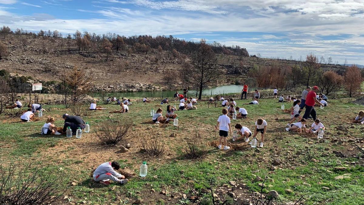 El bosque de Torás también se vio arrasado en el mes de agosto por el devastador incendio de Bejís.