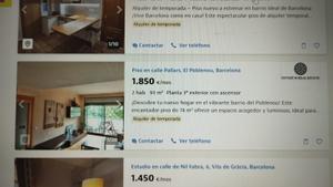Anuncios de alquiler temporal, esta semana.