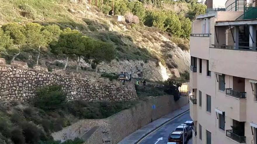 Las obras de recuperación del Castillo de San Fernando arrancan con una tala de árboles