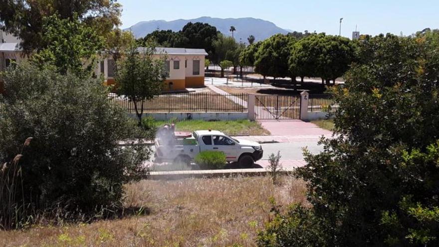 Labores de fumigación contra los mosquitos en el entorno de la desembocadura del Guadalhorce.