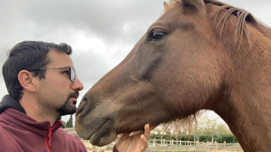 ¿Pueden los caballos ayudarnos a ser más humanos?