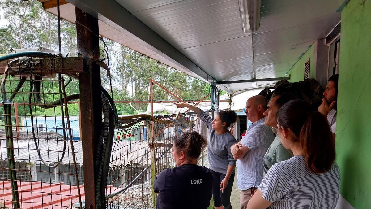 Una visita de responsables del Concello de Bueu al refugio de animales de la Protectora, en Broullón.