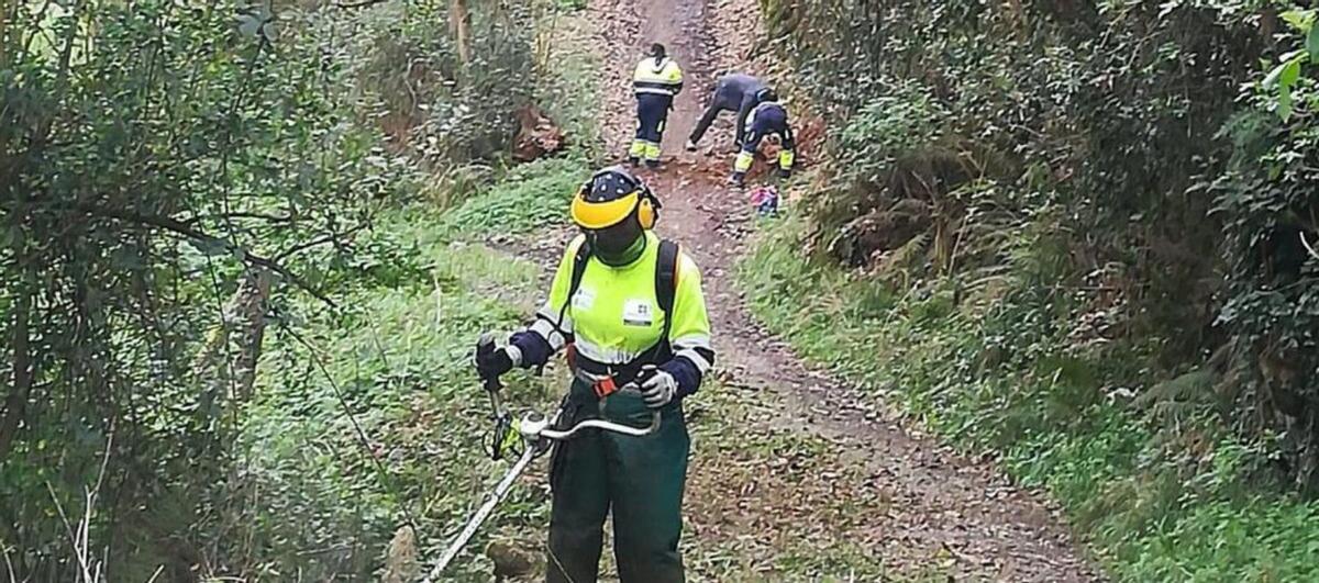 Trabajos de desbroce en Salas, actuación que realizan tres o cuatro veces al año. | A. R.