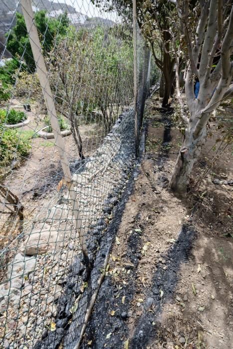 Restos del incendio en la cumbre  | 25/08/2019 | Fotógrafo: Tony Hernández