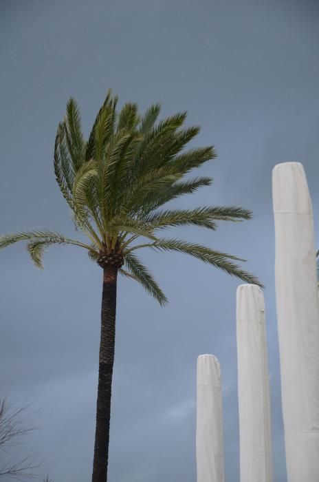 November-Wetter auf Mallorca - den Surfern gefällt's