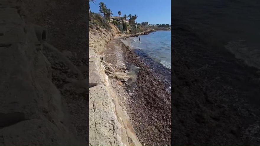 Vertido de fecales en la playa de la Almadrava de El Campello