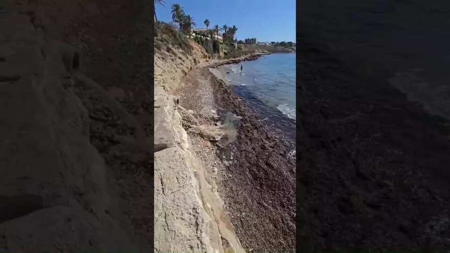 Vertido de fecales en la playa de la Almadrava de El Campello