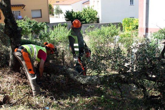 Treballs obertura franja forestal La Jonquera