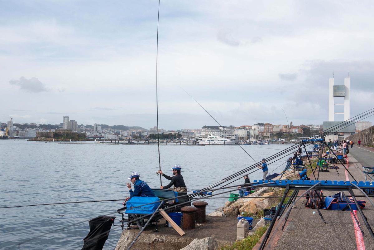 Competición de pesca en el dique de abrigo