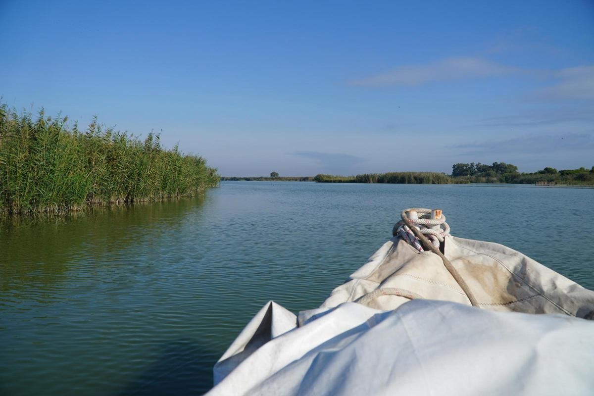 Imagen de l'Albufera