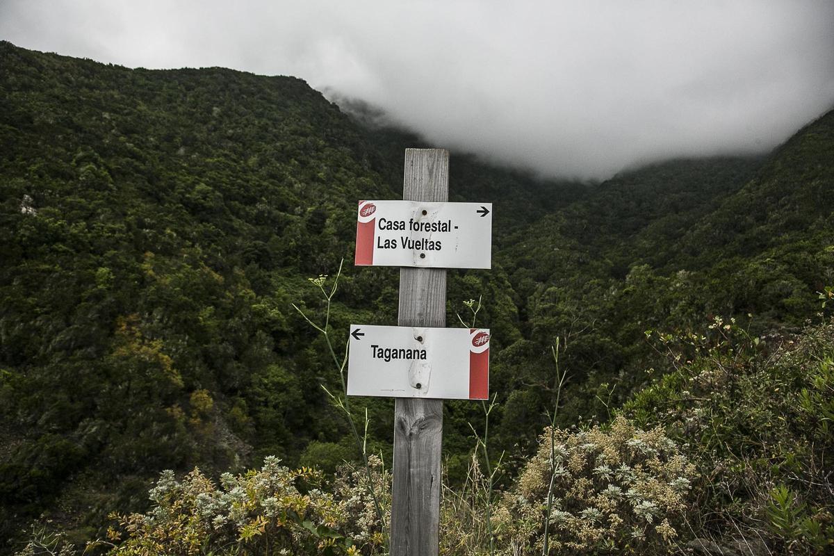 Señalizaciones de senderos en Anaga.