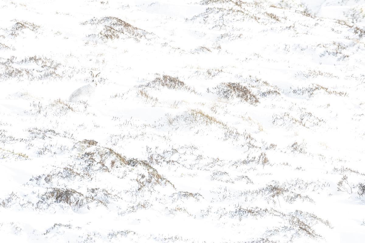 Winter touch