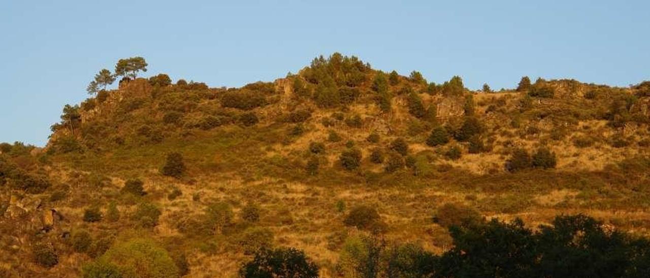 Lugar en el que estuvo emplazado el castillo medieval de Cabreira, en Pozo do Demo (Verín). // Duvi