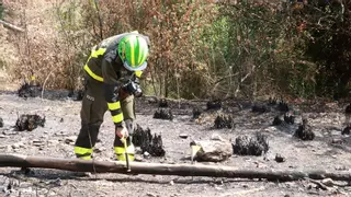 Uno de cada cuatro incendios en Catalunya son intencionados: así se investigan