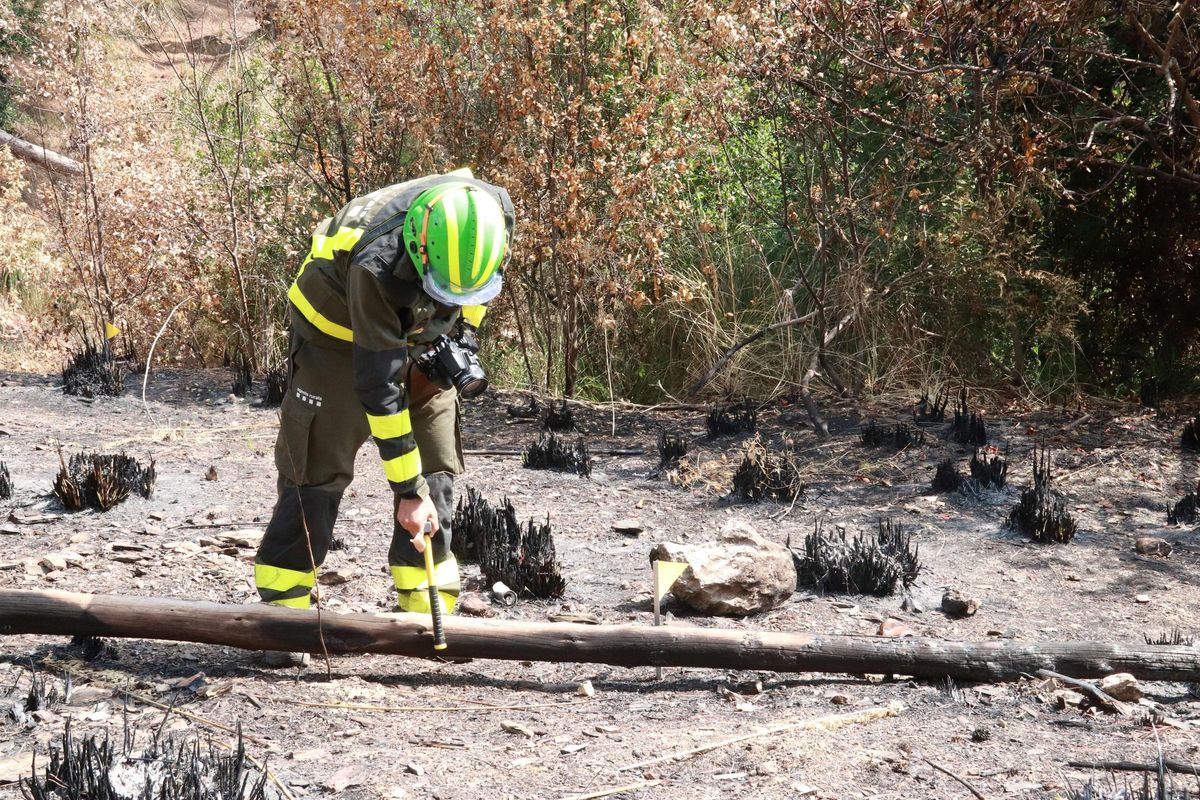 Imagen de los agentes rurales investigando un incendio en Viladecans Imagen de los agentes rurales investigando un incendio en Viladecans