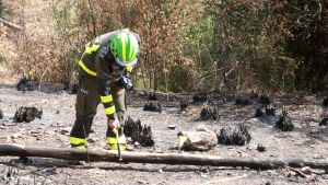 Imagen de los agentes rurales investigando un incendio en Viladecans