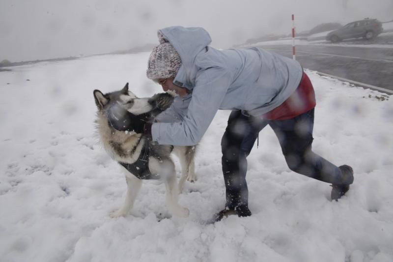 Visita al Teide nieve  | 06/12/2019 | Fotógrafo: Delia Padrón