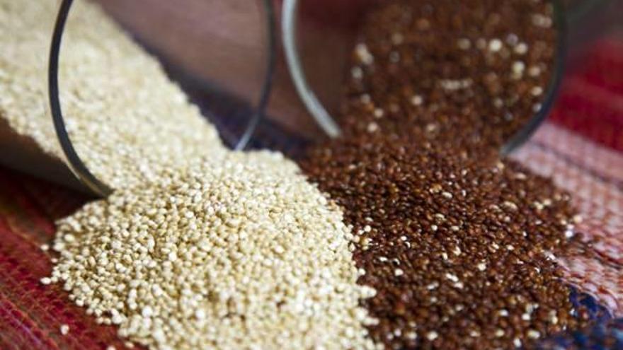 La quinoa és un cereal que aporta varietat de textures i sabors