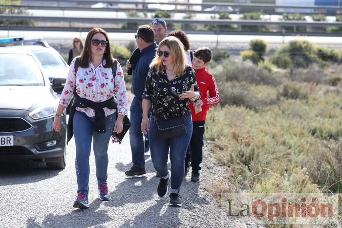 Romería de La Hoya (I)