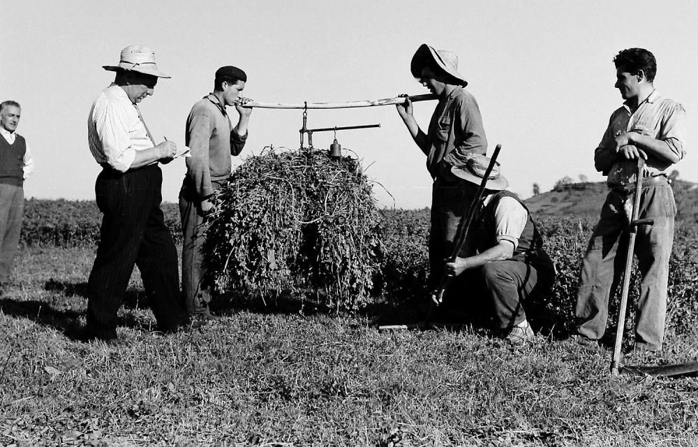 El Muséu del Pueblu d'Asturies publica el legado fotográfico de Julio Fernández Lamuño
