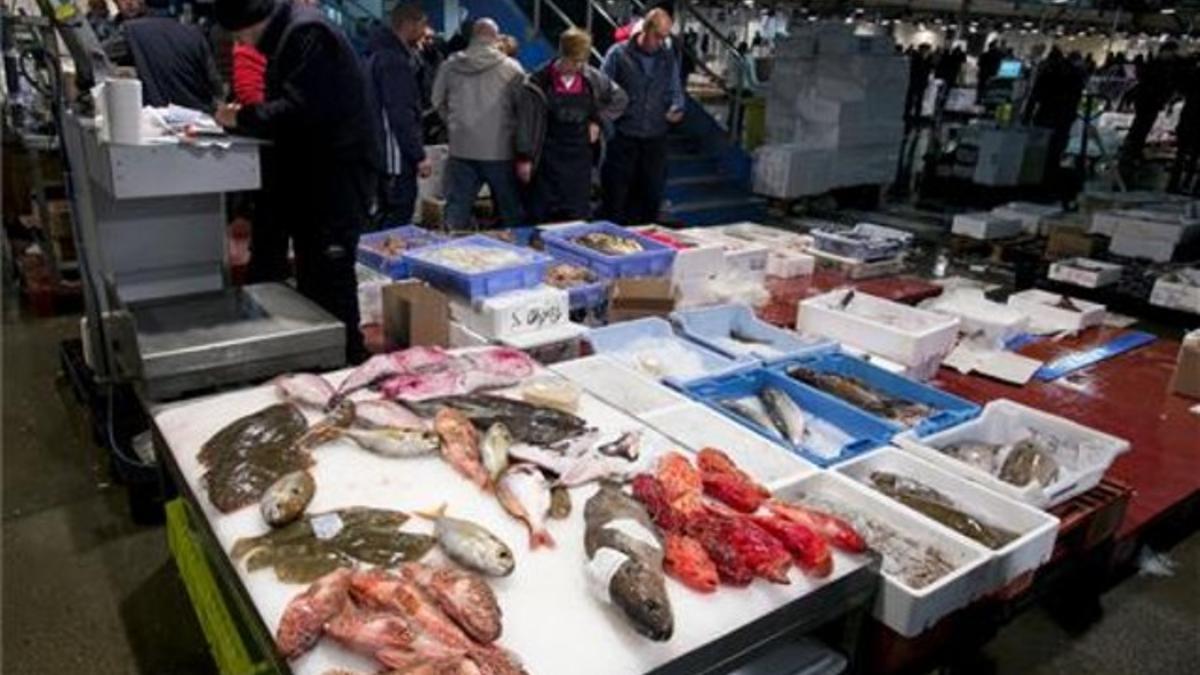Un tercio de los catalanes toma más mercurio del aceptable en el pescado