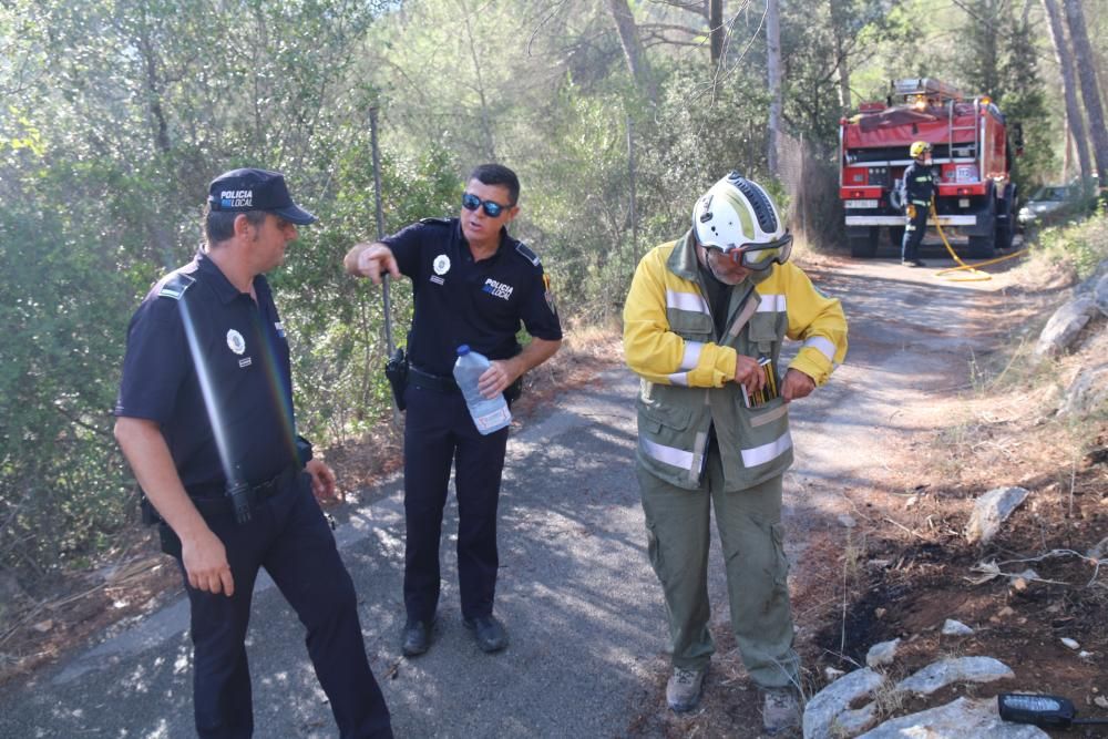 Incendio forestal junto a varias viviendas en Andratx