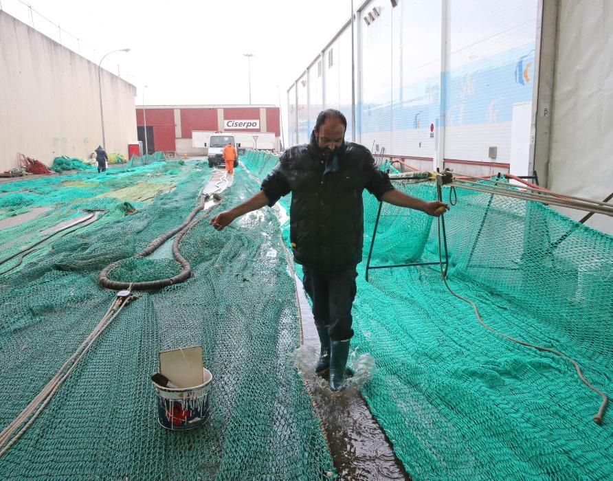 Los rederes de Vigo trabajan bajo la lluvia // Marta G. Brea